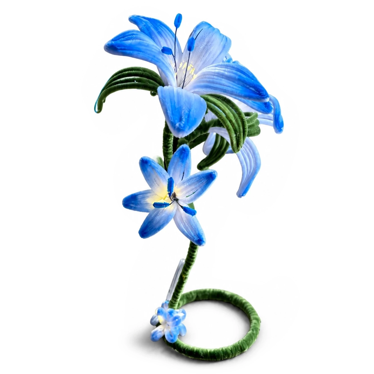 گل مخملی لیلیوم درخشان(افسون) آبی